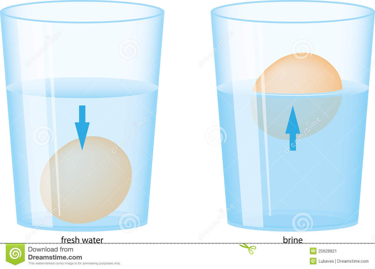 2.3 EL PORQUÉ LAS MARAVILLAS DEL AGUA._1_1