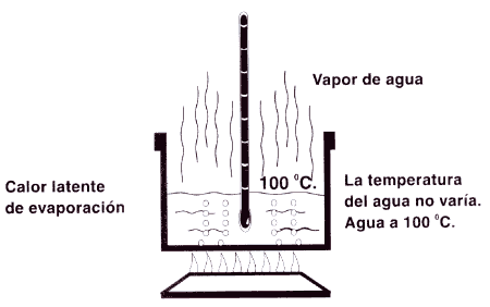 2.3 EL PORQUÉ LAS MARAVILLAS DEL AGUA._1_1