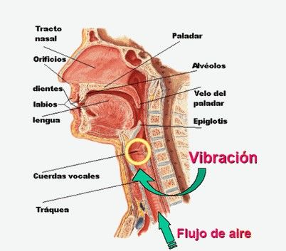 Física Acústica