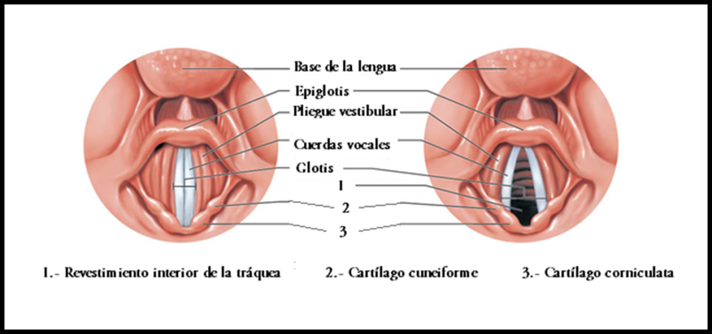 Física Acústica