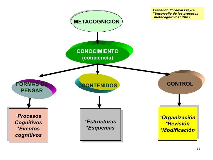 FASES DEL PROCESO DE RESOLUCIÓN DE PROBLEMAS