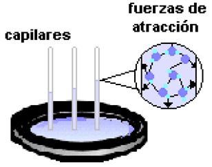 EL PORQUÉ DE LAS MARAVILLAS DEL AGUA