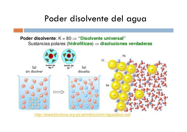 "EL PORQUE DE LAS MARAVILLAS DEL AGUA"