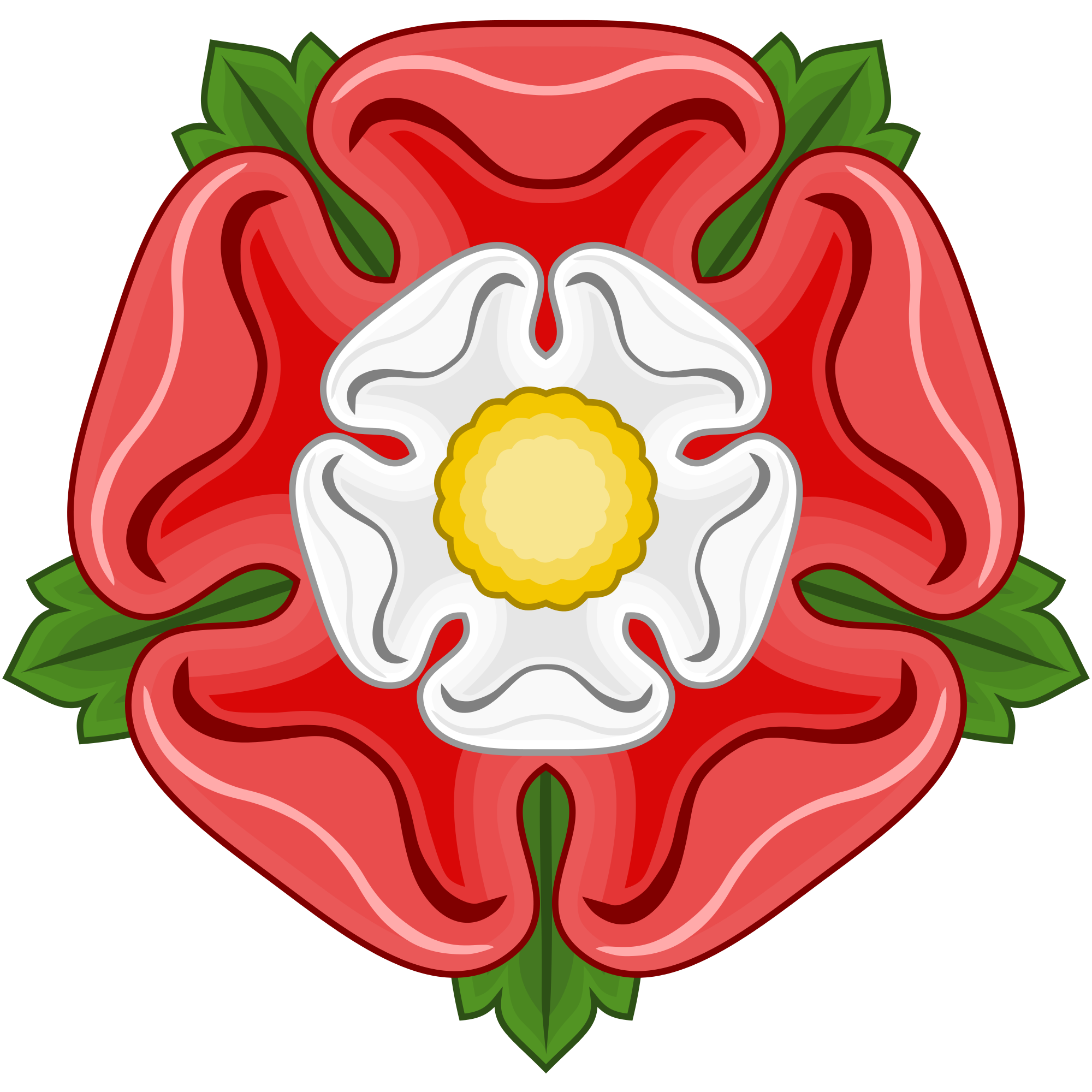 Advantages & Disadvantages that Henry VIII had when he came to the throne