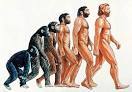 perspectiva evolutiva/sociobiologica Wilson
