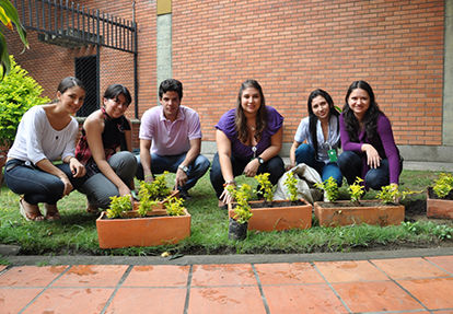 Contaminacion Visual