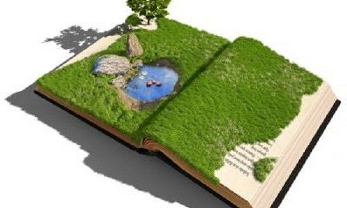 Contaminacion Visual