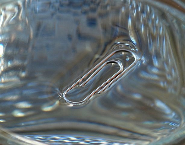 El Porqué de las Maravillas del Agua