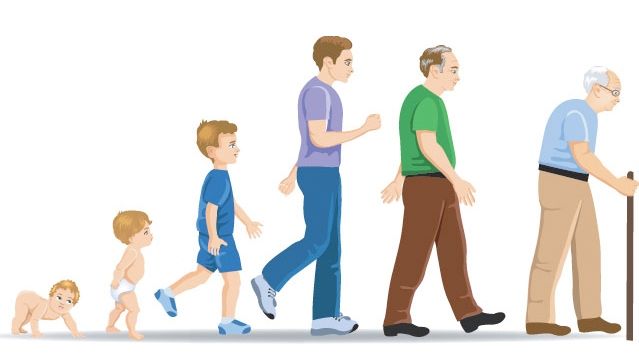 perspectiva evolutiva/sociobiologica Wilson