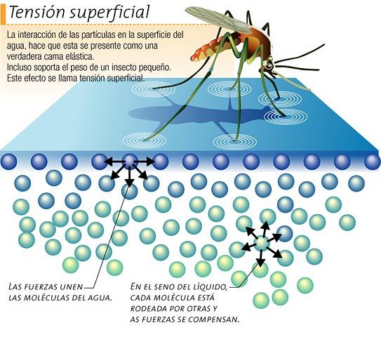 2.3 El PORQUÉ DE LAS MARAVILLAS DEL AGUA
