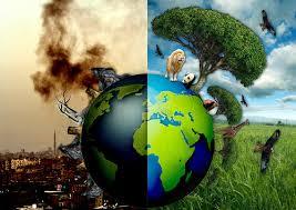 Importancia del cuidado Ecologico
