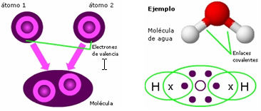 EL PORQUÉ DE LAS MARAVILLAS DEL AGUA