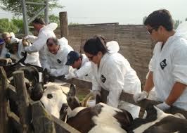 2.1 Hechos relevantes en un análisis de riesgos en la planificación para emergencias zoosanitaria