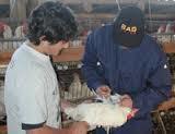 2.1 Hechos relevantes en un análisis de riesgos en la planificación para emergencias zoosanitaria