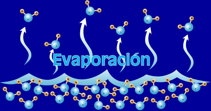 El Porqué de las Maravillas del Agua