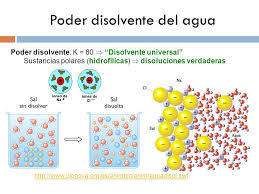 El porqué de las maravillas del agua
