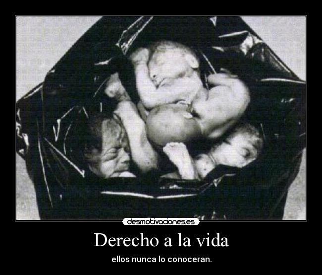 SIGNO (Derecho a la vida)