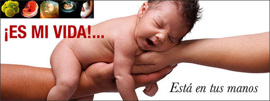 SIGNO (Derecho a la vida)