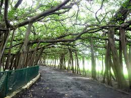 KOLKATA