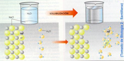 "EL PORQUÉ DE LAS MARAVILLAS DEL AGUA"