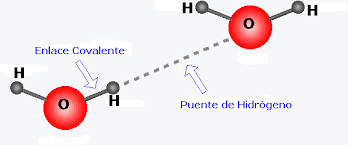 "EL PORQUÉ DE LAS MARAVILLAS DEL AGUA"