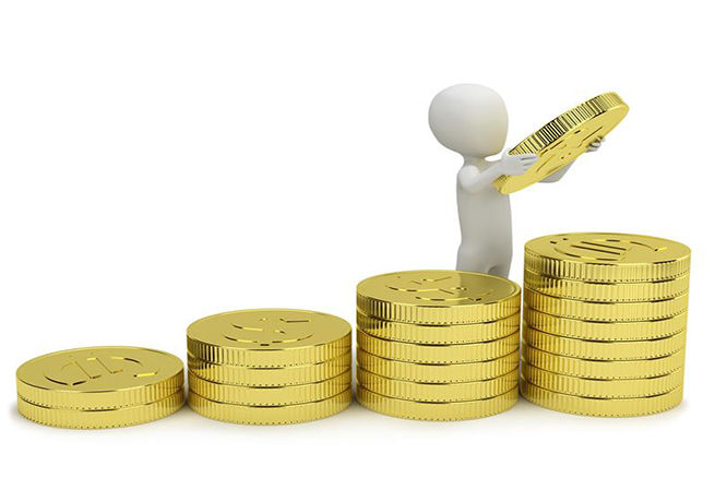 Economia Solidaria