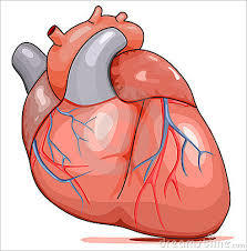 ENFERMEDADES DEL CORAZÓN, PULMÒN Y RIÑÓN DURANTE EL EMBARAZO