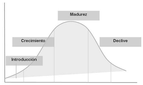Ciclo de vida de una organización