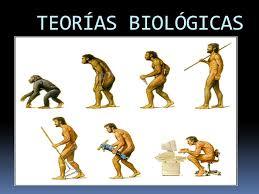 CRIMINOLOGIA