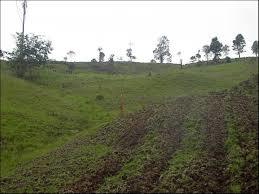 FUSAGASUGA Y SU SITUACION AMBIENTAL
