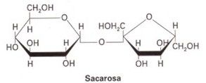 CARBOHIDRATOS.