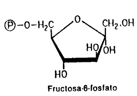 CARBOHIDRATOS.