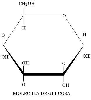 CARBOHIDRATOS.