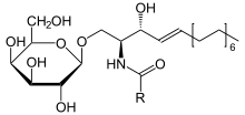 CARBOHIDRATOS.