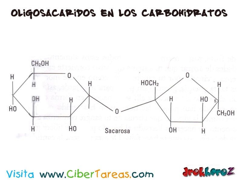 Carbohidratoss
