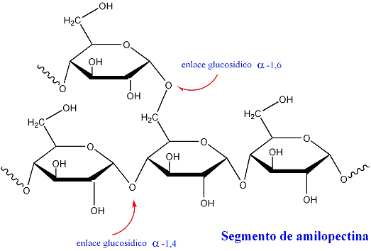 Carbohidratoss