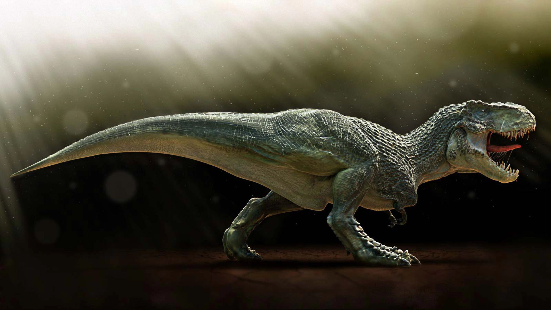 Tyrannosaure rex