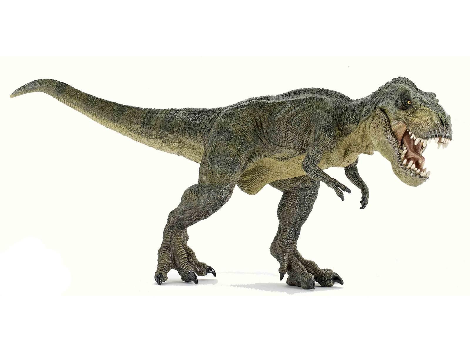 Tyrannosaue rex