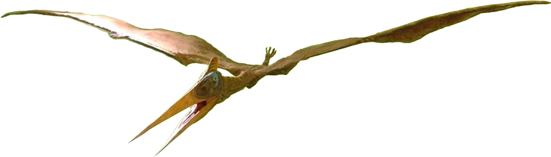 Tyrannosaure rex