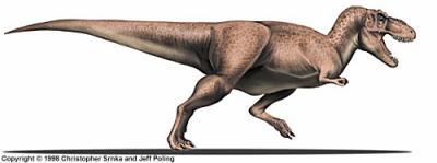 Tyrannosaure rex