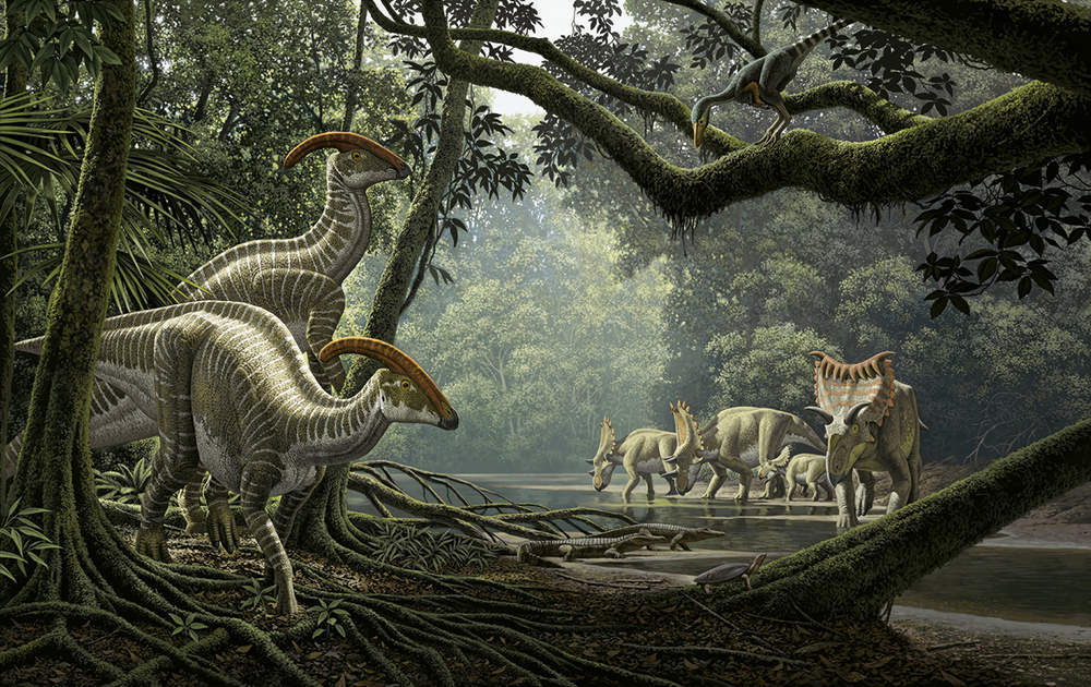 Tyrannosaure rex