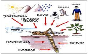 Ecosistemas