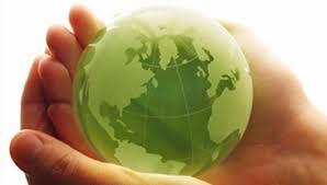 EMPRESAS Y MEDIO AMBIENTE