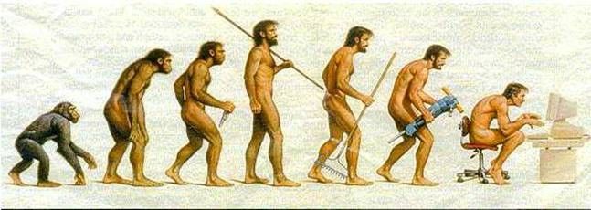 LA EVOLUCION DEL HOMBRE