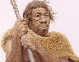 LA EVOLUCION DEL HOMBRE