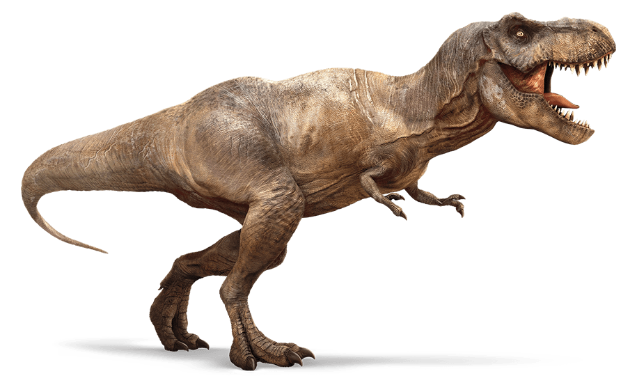 Tyrannosaure rex