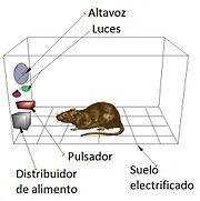 Tecnica aversiva