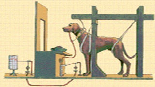 Tecnica aversiva