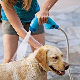 ATENCIÓN A DOMICILIO PARA MASCOTAS