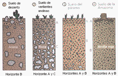 LOS SUELOS PARA LA ARQUITECTURA